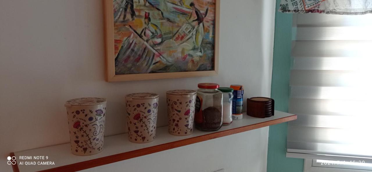 Jordan Valley One Room Apartment Menaẖemya エクステリア 写真